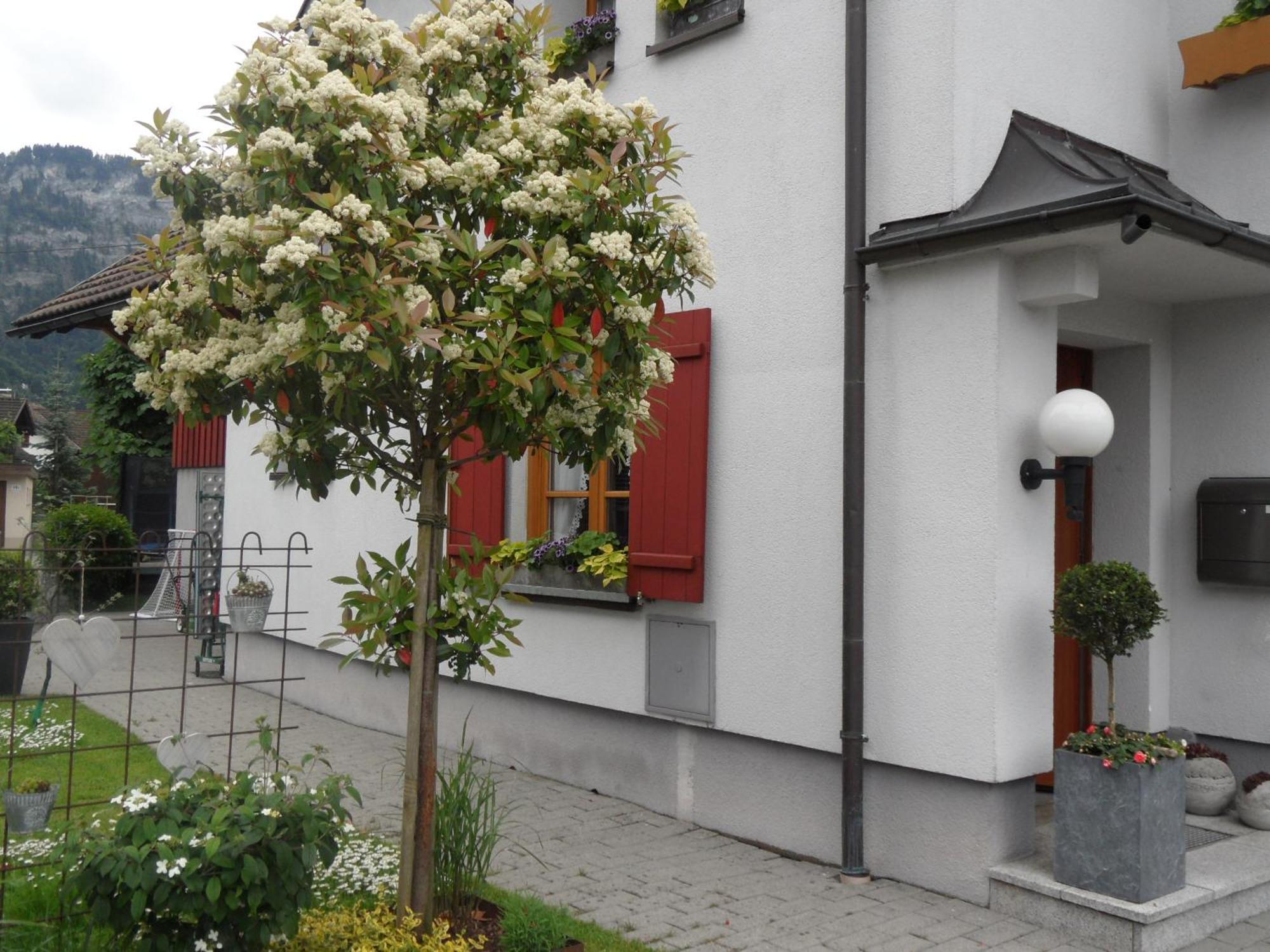 Ferienwohnung Lilly Dornbirn Kültér fotó